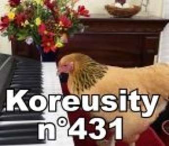 Bon weekend avec Koreusity n°431 un zap de 81 vidéos insolites