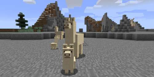 Minecraft : comment apprivoiser les lamas ?