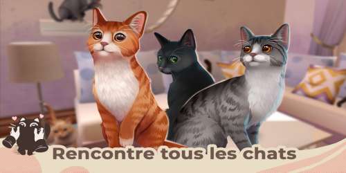 Occupez-vous de chats abandonnés dans Cat Rescue Story, simulation disponible sur mobiles