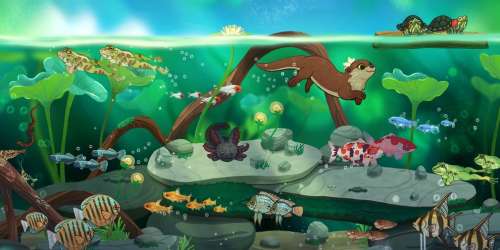 Transformez votre étang en sanctuaire pour animaux dans Pondlife, simulation bientôt disponible