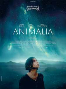 Bande-annonce du thriller de science-fiction marocain “Animalia” sur une rencontre avec des extraterrestres