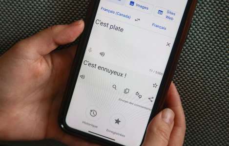 Et puis, le nouveau «Français (Canada)» de Google Traduction?