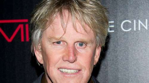 Gary Busey accusé d’infractions sexuelles au Monster-Mania Con