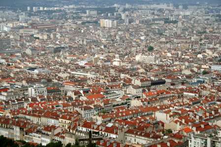 Marseille : des intrus très indésirables sèment le chaos dans les bus de la ville