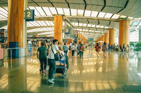 Il est arrêté à l’aéroport avec près de 50 animaux vivants… dans ses valises