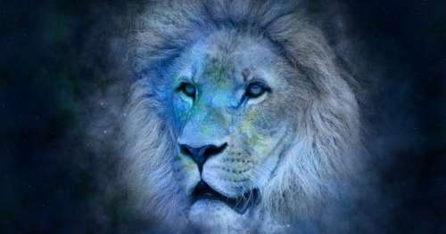 Astrologie 2024 : le signe du Lion aura-t-il de la chance en juin ?