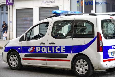 Seine-Saint-Denis : une femme gravement blessée par deux chiens lors d’une scène d’horreur