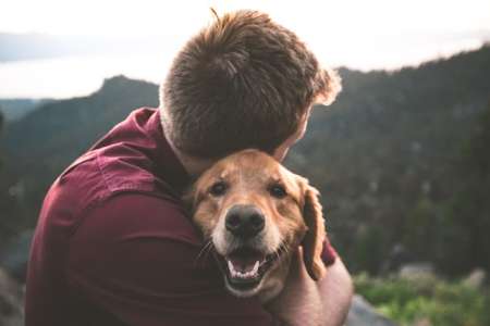 Un jeune homme de 19 ans poignardé à mort, ce que fait son chien depuis est déchirant