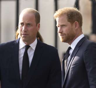 William et Harry : ce bien cher à leur mère Diana dont ils n'hériteront pourtant pas