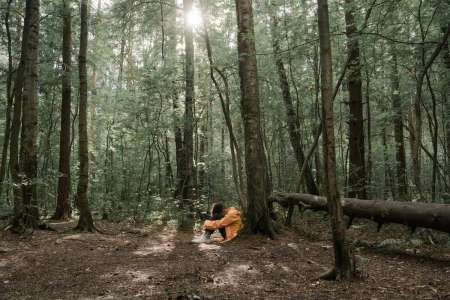 Un petit garçon de 4 ans se perd dans les bois pendant 24 heures, l'issue est miraculeuse