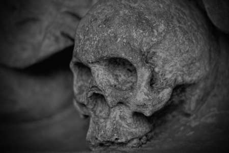 Perpignan : un crâne humain trouvé dans une déchetterie, ce détail encore plus glaçant