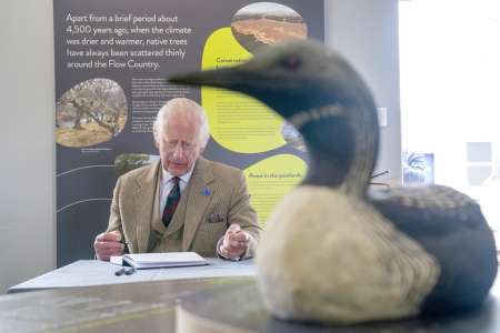 Charles III : un touriste immortalise Buckingham et découvre une scène improbable