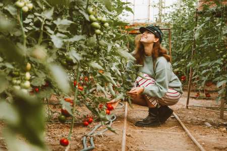 Régime : ces six légumes stars de septembre pour perdre du poids