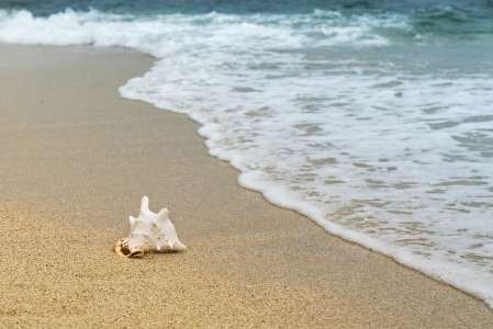 Boulogne-sur-Mer : il se balade sur la plage et termine par repêcher un corps