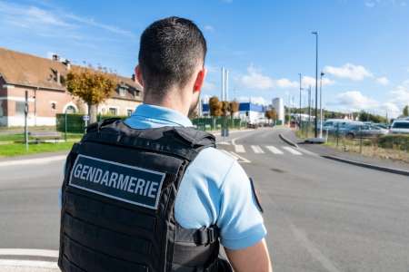 Un simple contrôle routier sauve la vie d’un animal : les policiers n’en reviennent pas ce qu’ils ont découvert