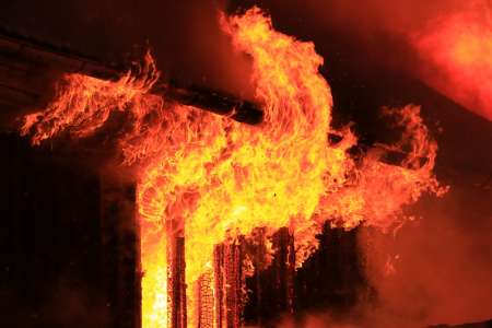 Un chien mâchouille un objet dans la maison de ses maîtres, le feu se déclare et terrasse tout