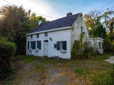 Ils visitent une maison abandonnée, ce qu’ils trouvent à l’intérieur est la chose la plus flippante du monde