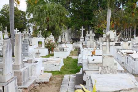 Arrêté après avoir volé des os dans un cimetière, un homme fait des aveux effroyables sur son régime alimentaire