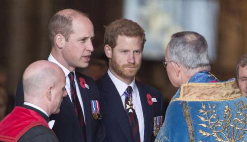 Harry et William : ce membre inconnu de la famille qui pourrait les réconcilier