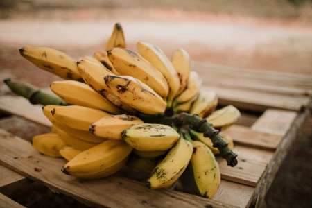 Quels sont les bénéfices sur la santé de la banane ?