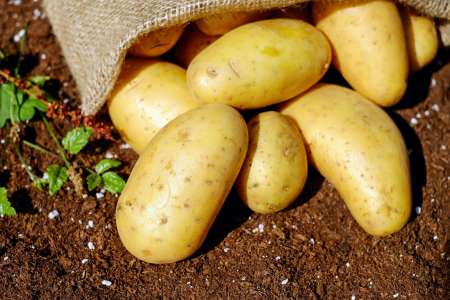 Quels sont les bénéfices sur la santé de la pomme de terre ?