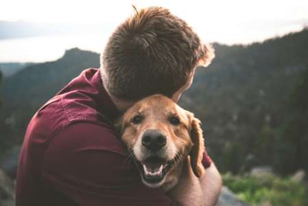 Elle gagne à la loterie, son compagnon insiste pour que leur chien touche sa part