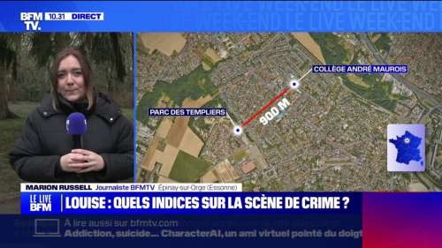 Meurtre de Louise, 11 ans, dans un bois : les premiers résultats de l’autopsie fuitent, un vrai acharnement