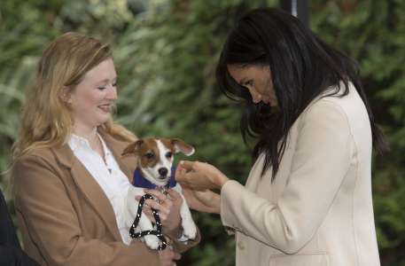 Meghan Markle repérée seule sur le marché de Montecito : cet impair qui n’est pas passé inaperçu