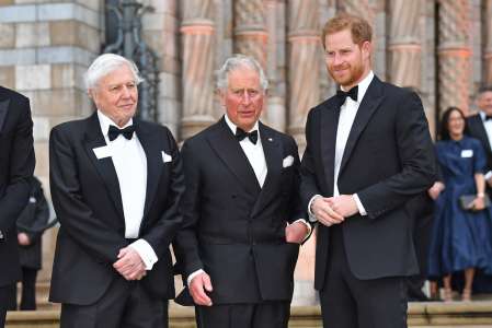 Prince Harry : cette unique solution qu’il a pour se racheter auprès de son père Charles III