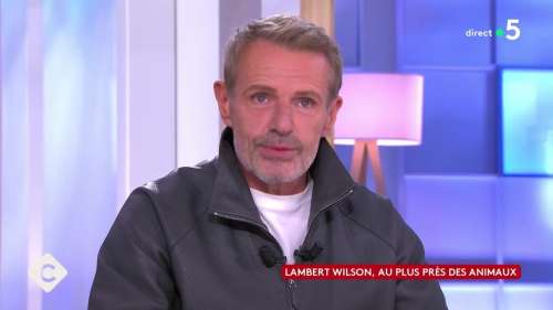 “Vous êtes tout aussi détestable”: Anne-Elisabeth Lemoine pas tendre avec Lambert Wilson dans C à vous