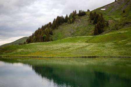 Savoie : une mère et sa fille se baignent dans le lac du Bourget et en ressortent dans un état catastrophique