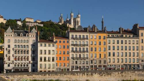 Lyon : “que dans les films…”, un corbeau sème la terreur dans un milieu tout particulier