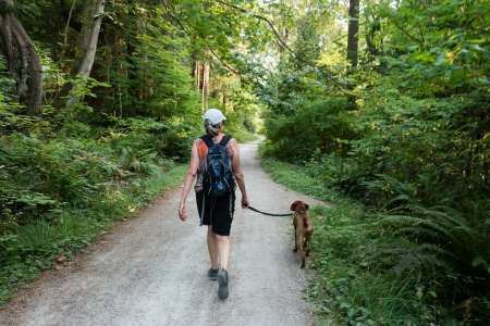 Elle passe un mois à l'hôpital après une simple promenade avec ses chiens