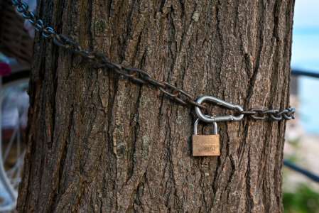 Enchaînée à un arbre et laissée pour morte, elle est retrouvée avec un mot glaçant pour les enquêteurs