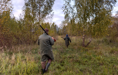  Chasseur maladroit : un tir accidentel avec des conséquences inattendues