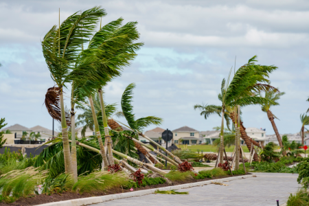 Ils perdent un objet particulièrement précieux, neuf ans plus tard le passage de l'ouragan Milton fait tout basculer