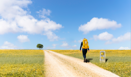 Chemin de Compostelle : 