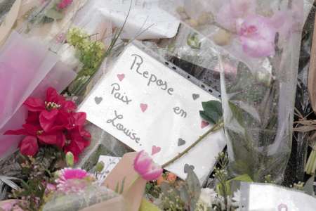 Meurtre de Louise, 11 ans, dans un bois : 