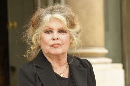 Brigitte Bardot : la vérité derrière la sortie de son nouveau disque