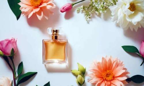 Top 3 des parfums Rituals, votre passeport olfactif vers le luxe !