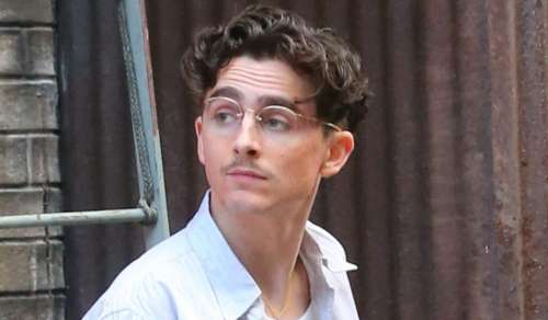 Timothée Chalamet, 28 ans : son baiser enflammé avec Gwyneth Paltrow, 52 ans