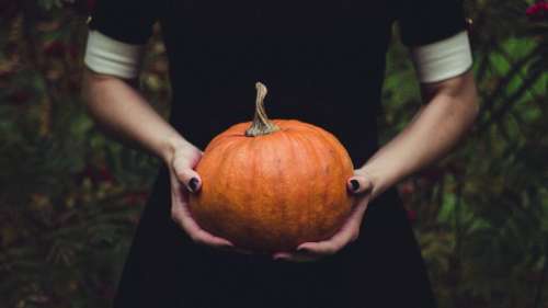  «Halloween : Adoptez un look original et drôle avec notre sélection haute couture !»