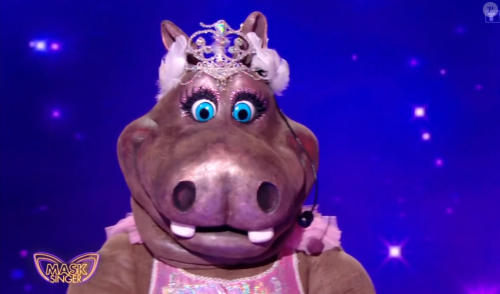 L'Hippopotame remporte Mask Singer 2024 : On avait découvert qui se cache derrière ce costume, une star pas française !