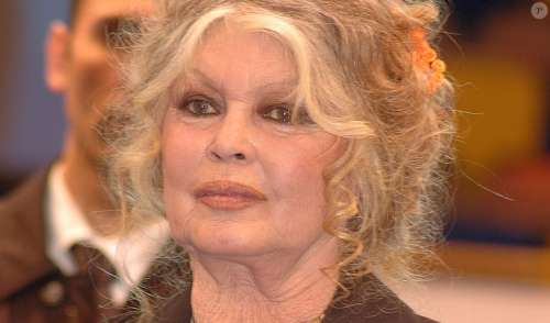  «Brigitte Bardot exprime ses dernières volontés : une position inattendue révélée!»