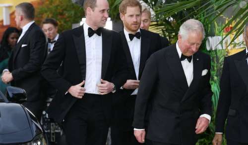 Ce jour où les princes Harry et William ont arrêté d'être conviés aux soirées de P. Diddy, les langues se délient