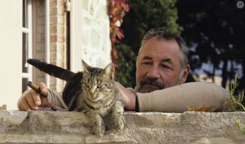 Philippe Noiret : Son refuge dans l'Aude vendu et ses objets mis aux enchères, sa veuve n'a pas eu la force d'y revenir