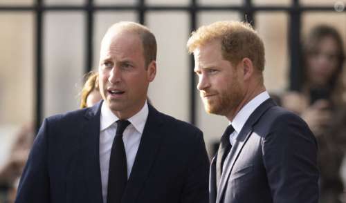 Harry de retour en Angleterre : le prince William jaloux de son frère pour deux raisons précises