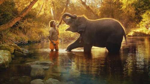 Critique documentaire “The Elephant Whisperers” : un safari incroyablement luxuriant sur la coexistence de l’homme et de la nature