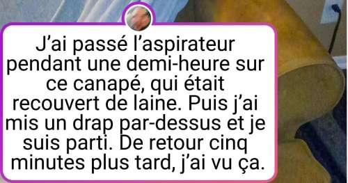 24 Animaux domestiques contre qui, il est impossible de se mettre en colère, malgré leurs bêtises