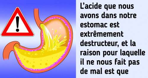 12 Faits sur le système digestif qui nous rappellent que nous ne savons pas grand-chose sur notre propre corps